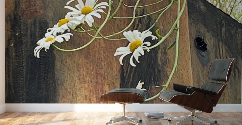  Impressionistic Summer Trailing Daises Wall Murals