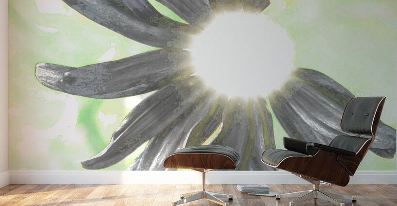  Abstract Daisy Sunbeam Wall Murals