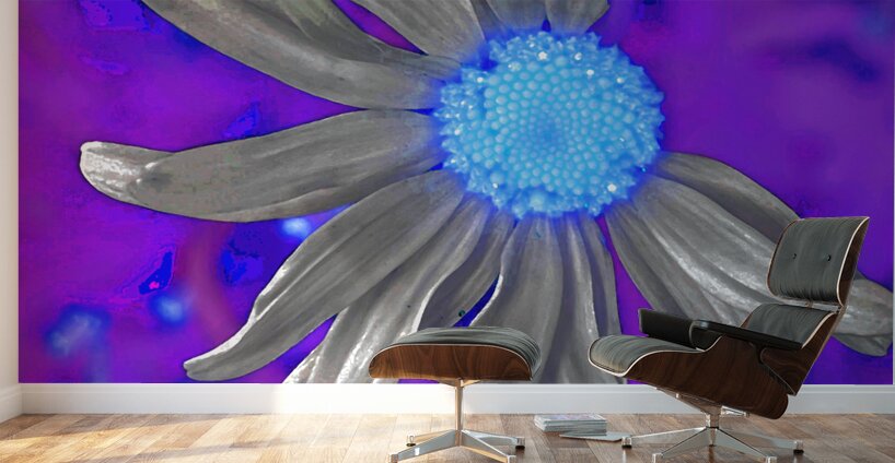  Abstract Colourful Daisy Flower  Wall Murals