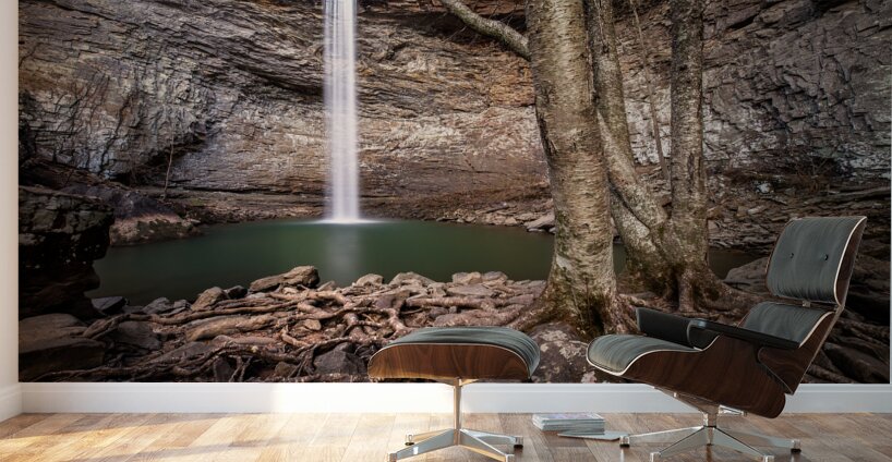 Reaching for Ozone Falls Wall Murals
