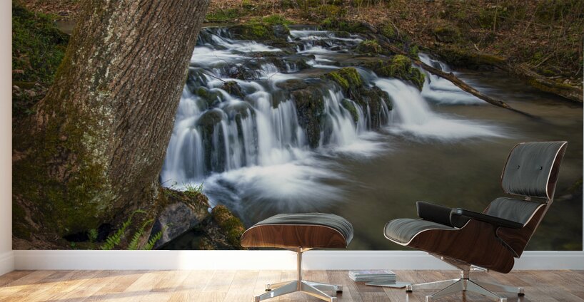 Flat Creek Cascade Wall Murals