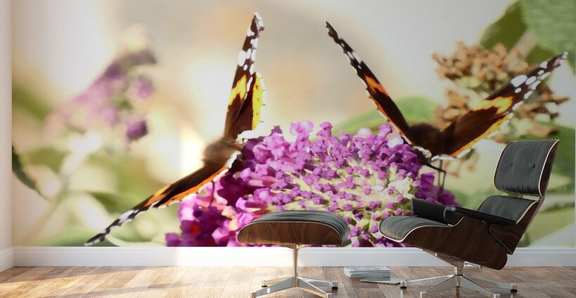 Two Butterflies on Buddleia Flowers Wall Murals