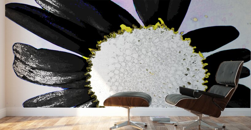 Abstract Daisy with Black Petals  Wall Murals