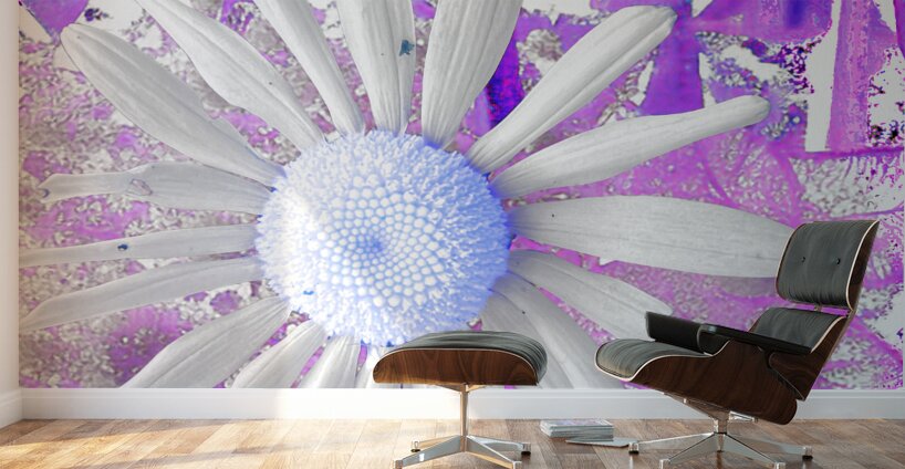 Cool Vivid Abstract Daisy Wall Murals