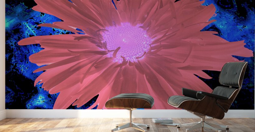 Abstract Red Daisy Wall Murals