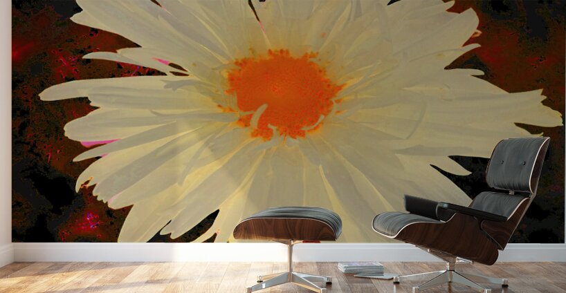Abstract Orange Daisy with Abstract Background Wall Murals