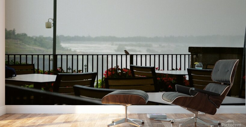 A Bird Near Niagara Falls Wall Murals
