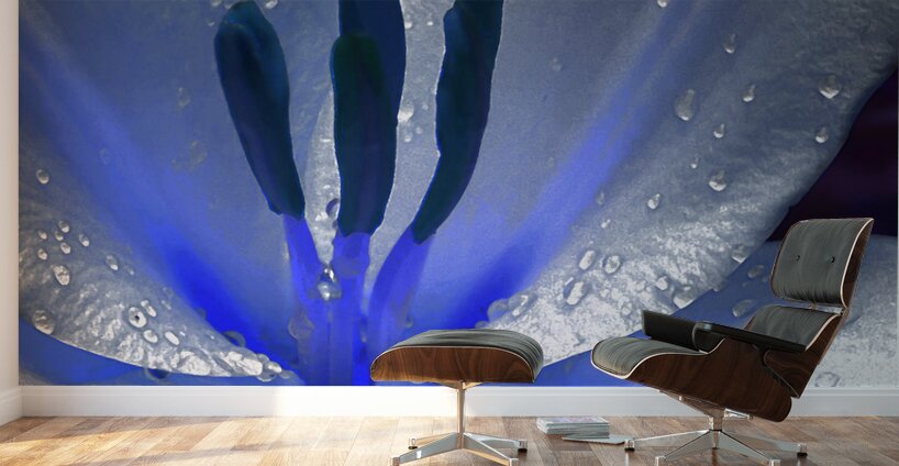 Abstract Dew Drop Lily Wall Murals