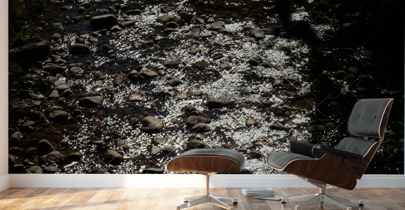 Sparking Water of the Scottish Highlands Wall Murals