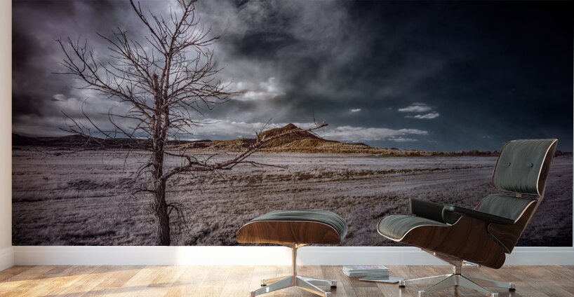 Realm of the Unknown: Lone Tree Mount Wall Murals