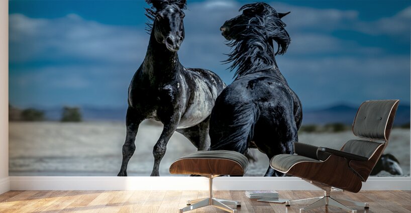 BZ9 4565 Enhanced NR Wall Murals