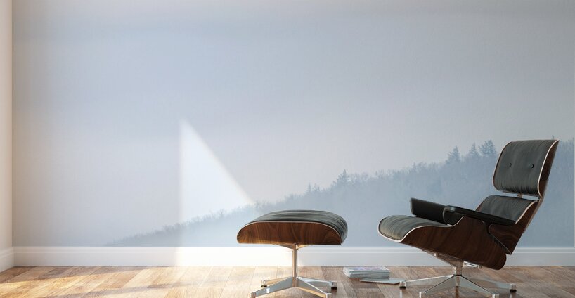 Winter mist Wall Murals