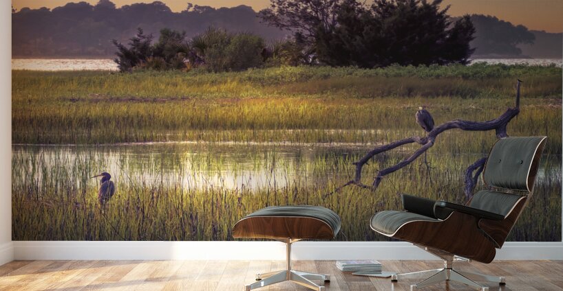 Hilton Head Wetlands Marsh Wall Murals