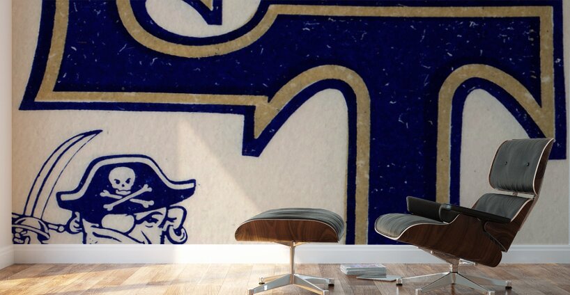 Vintage East Tennessee Bucs Art Wall Murals