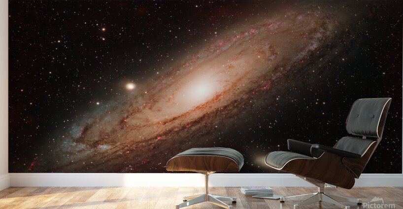 Andromeda Wall Murals