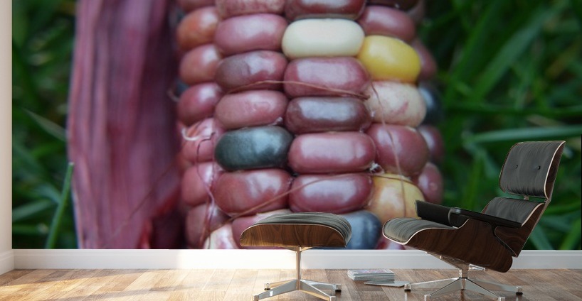 Jewel Corn 2 Wall Murals