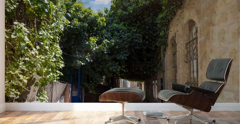 Israel Jerusalem old narrow streets of Nahlaot historic neighborhood with many small synagogues Wall Murals