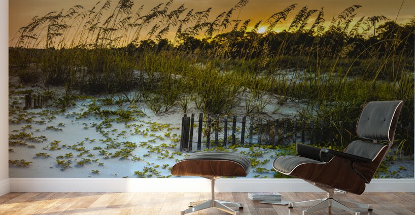 Autumn Sunset Dunes in Hilton Head Wall Murals