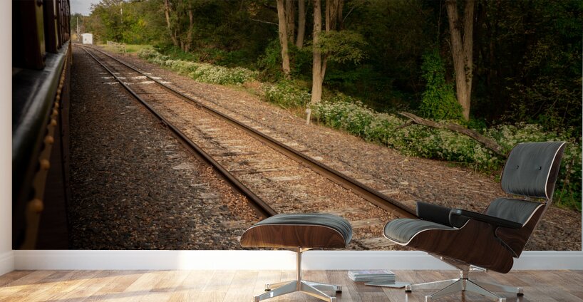 Riding Down the New Hope Rails Wall Murals