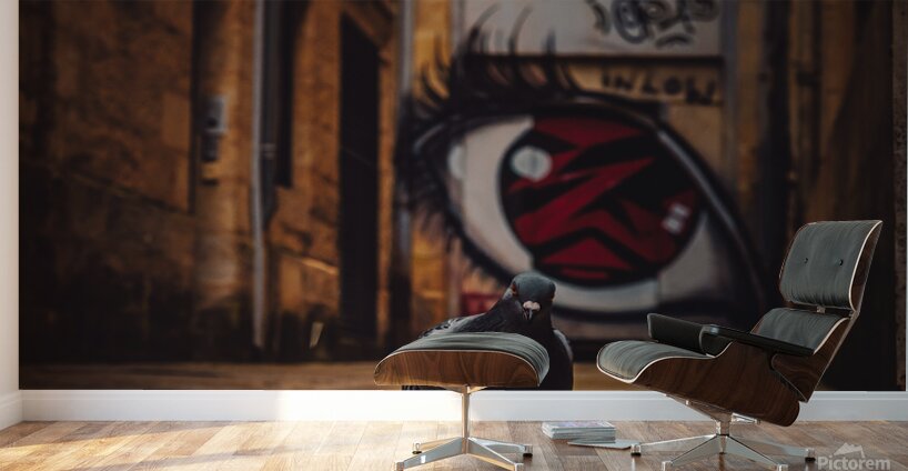 Angry Bird Wall Murals