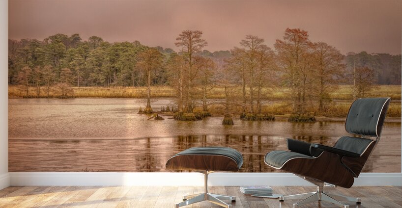 On the Road to Jamestown Wall Murals