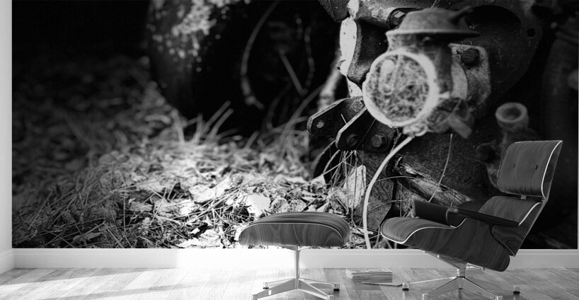 Scenes from the Trail- Disintegration Wall Murals