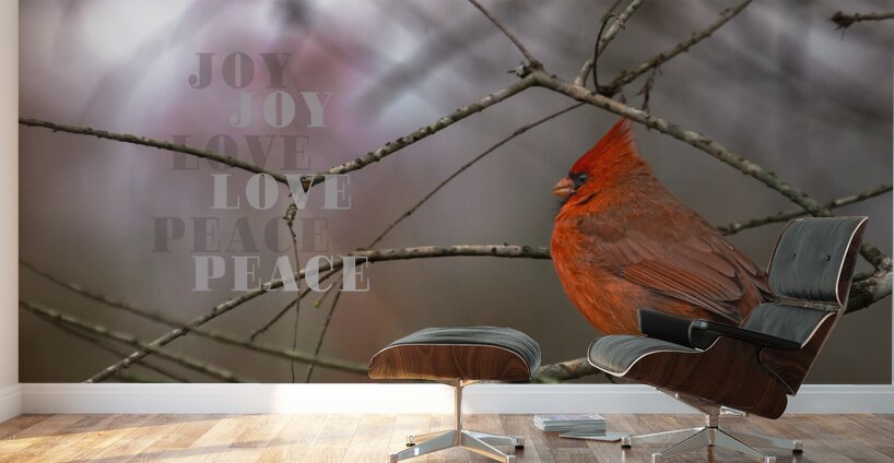 Red Cardinal Bird Joy Love Peace Wall Murals