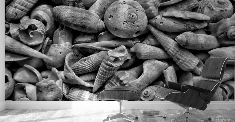 20150810 091616 01 01 01300 Wall Murals