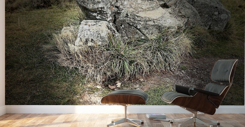 Scenes from the Trail- Boulder Seat Wall Murals