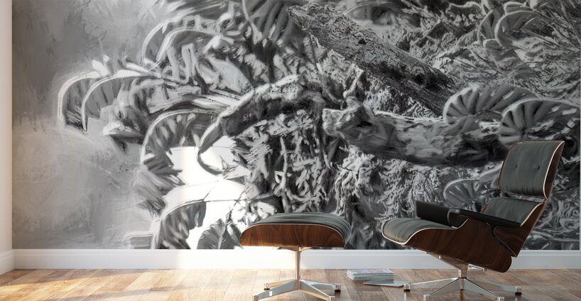 Resurrection Tree Fern Wall Murals