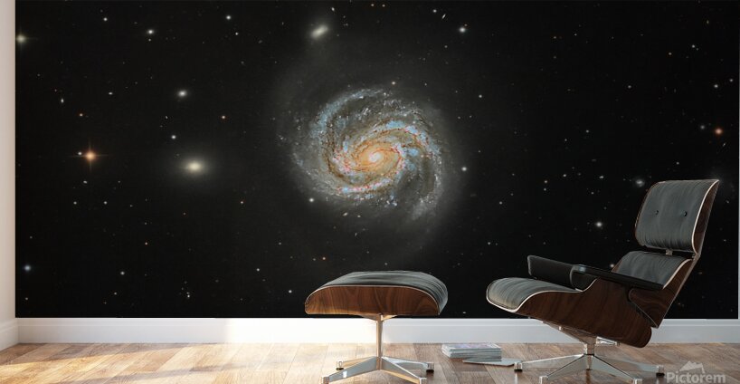 Messier 100 Wall Murals