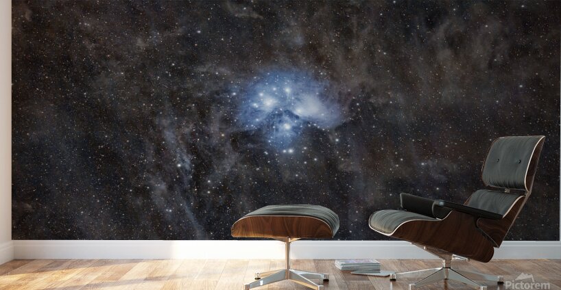 Pleiades Wall Murals