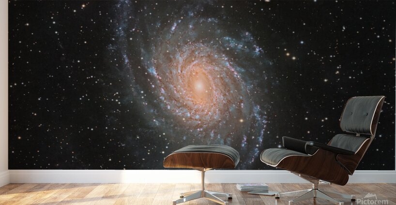 NGC 6744 Wall Murals