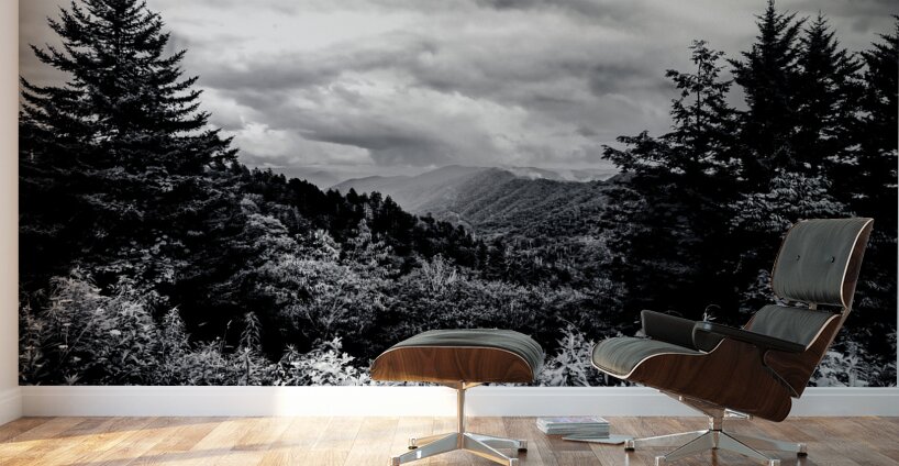 Tennessee Mountains Perfection in Black and white Wall Murals