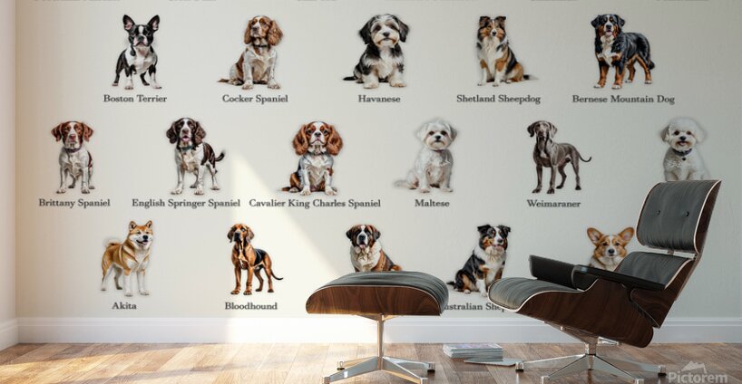 50 Dog Breeds Wall Murals
