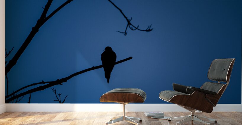 Bird Silhouette Dark Blue Wall Murals