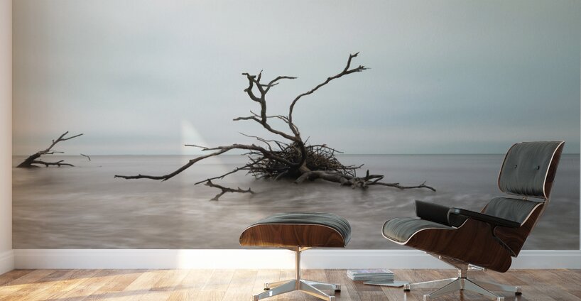 Botany Bay Tree 2 Wall Murals