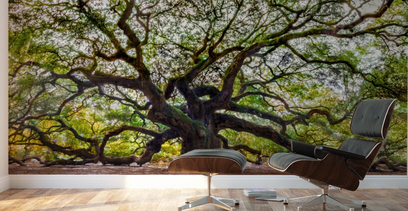 Spreading my Wings Wall Murals