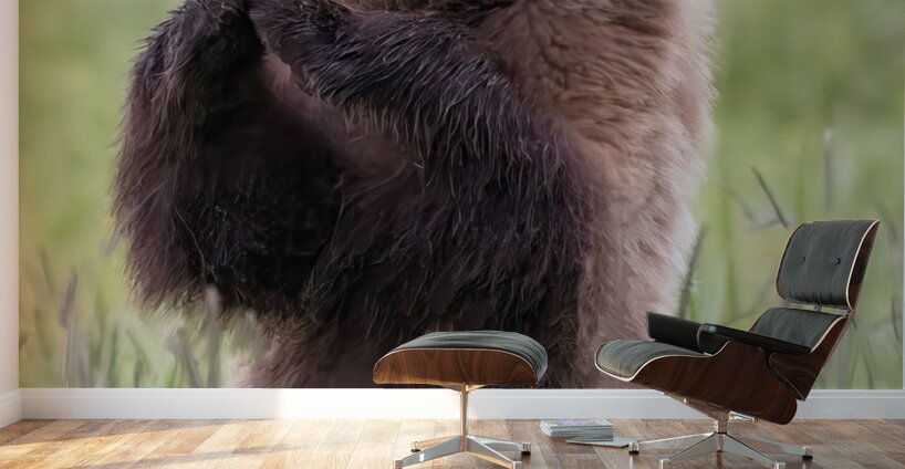 Regal Majesty: A Towering Bear Standing Tall in the Wilderness Wall Murals