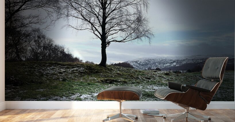  Scenes from the Trail- Tree Wall Murals