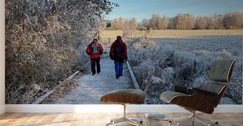 Frosty Nature Path Through the Scottish Highlands Wall Murals