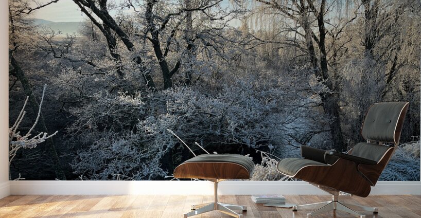 Winters Frosty Nature in the Scottish Highlands  Wall Murals