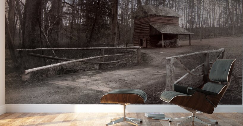 Booker T Washington Monument Barn and Buggy Wall Murals