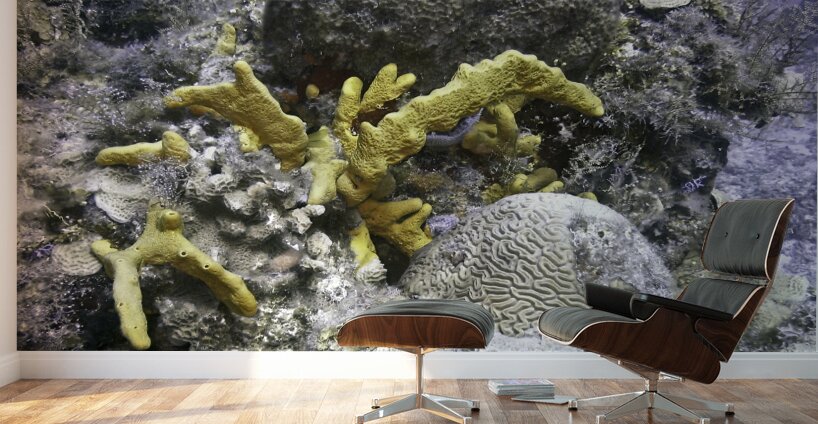 Copyright Wall Murals