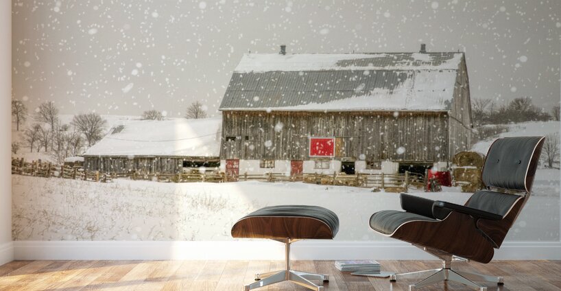 Little Red Square Wall Murals