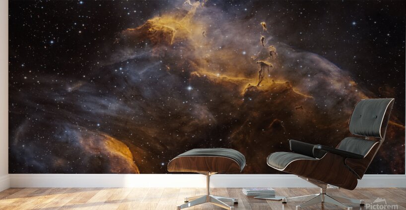 Southern Tadpole Nebula Wall Murals