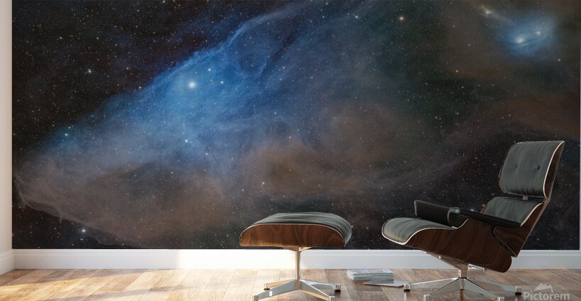 BlueHorseHead Wall Murals