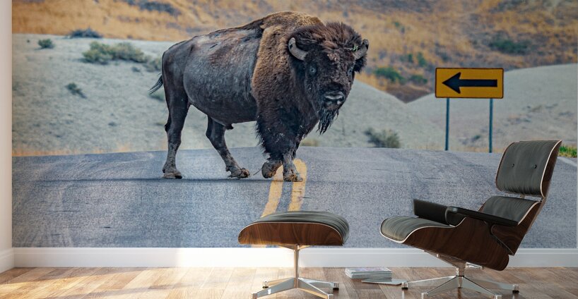 Bison Crossing Wall Murals