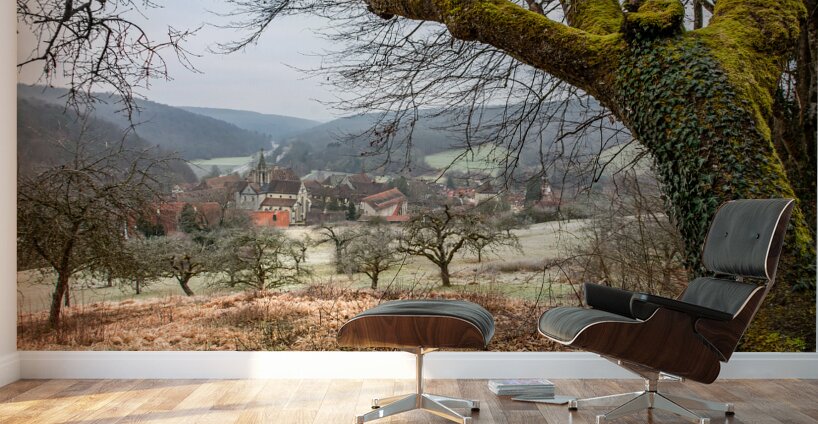 Landscape around the ancient monastery of Bebenhausen in winter Wall Murals