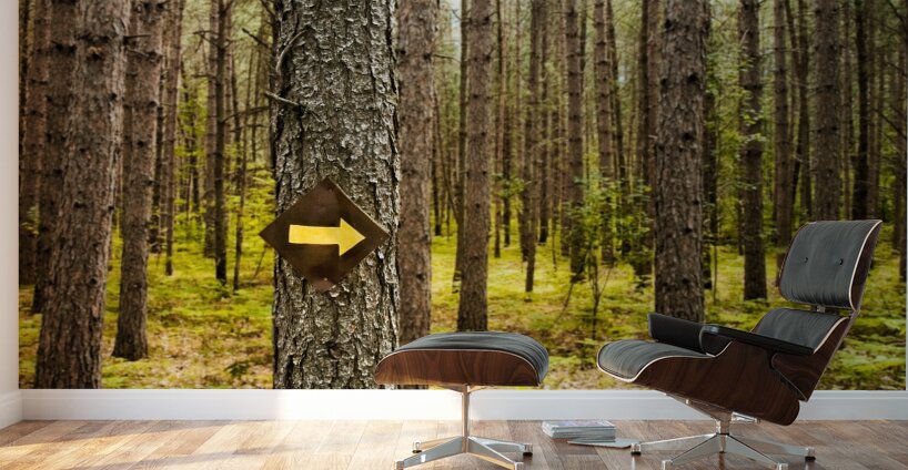 This Way Wall Murals